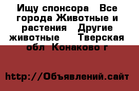 Ищу спонсора - Все города Животные и растения » Другие животные   . Тверская обл.,Конаково г.